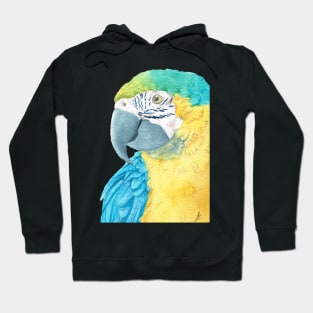 blue and gold macaw - watercolor parrot portrait Hoodie